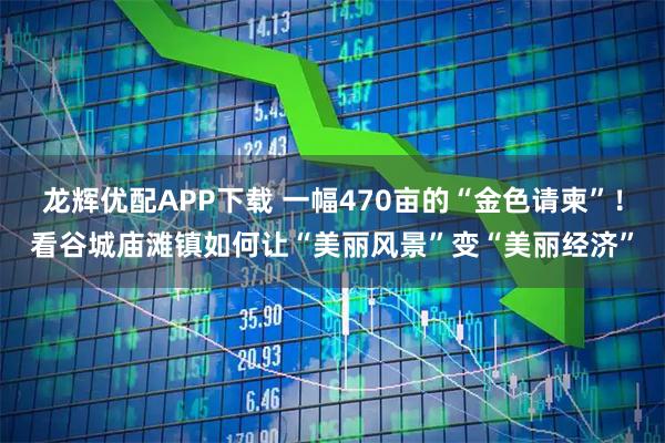 龙辉优配APP下载 一幅470亩的“金色请柬”!看谷城庙滩镇如何让“美丽风景”变“美丽经济”