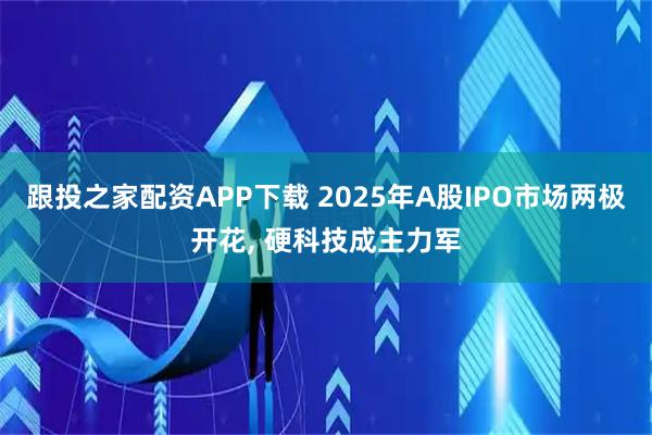 跟投之家配资APP下载 2025年A股IPO市场两极开花, 硬科技成主力军